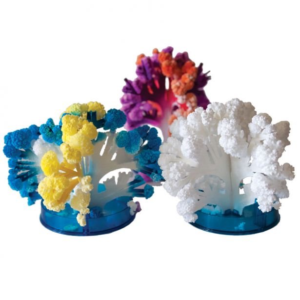 Copernicus Toys - Crystal Growing - Coral Reef - Huckle + Berry KidsCopernicus Toys